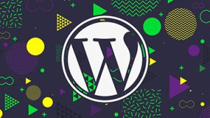 TheCompleteGuidetoBuildingPremiumWordPressThemesVideoTutorialCover صفحه ی فرود افزونه های پارسی وردپرس وب پارادایس