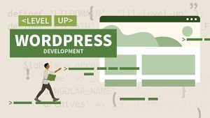 WordPressDevelopmentCodingPracticeVideoTutorialCover صفحه ی فرود افزونه های پارسی وردپرس وب پارادایس