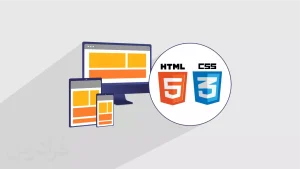 fvweb012png صفحه ی فرود افزونه های پارسی وردپرس وب پارادایس